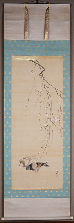 �����@�������@Seiko Okajima�^�w�����o���x