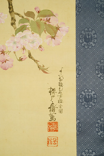 �N�ˁ@�ʏ��@Sakurato Tamao�^�w�g��N�E���ӂ��N�x