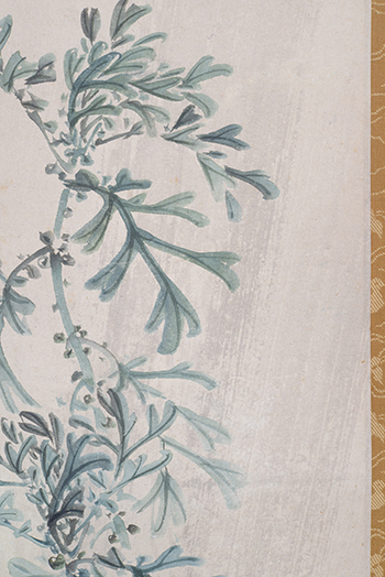 �����@�Ԑ΁@Soseki Murase�^�J���H�u�@firefly on mugwort in rain