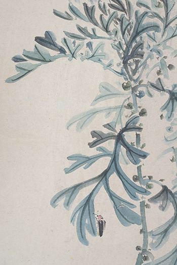 �����@�Ԑ΁@Soseki Murase�^�J���H�u�@firefly on mugwort in rain