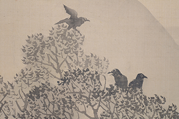 ���{�@�L�F�@Toyohiko Okamoto�^�V���h��