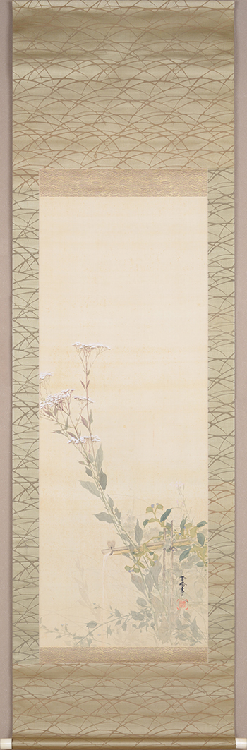 �J���@�����傤�@Taniguchi Kokyo�^�H�p�ᒎ�@�ga bell-ring �ginsect in autumn flower.