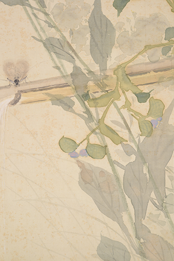 �J���@�����傤�@Taniguchi Kokyo�^�H�p�ᒎ�@�ga bell-ring �ginsect in autumn flower.