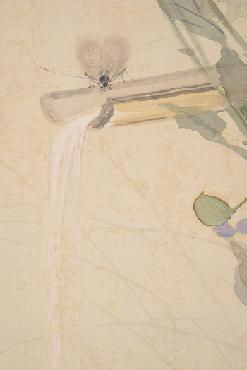 �J���@�����傤�@Taniguchi Kokyo�^�H�p�ᒎ�@�ga bell-ring �ginsect in autumn flower.