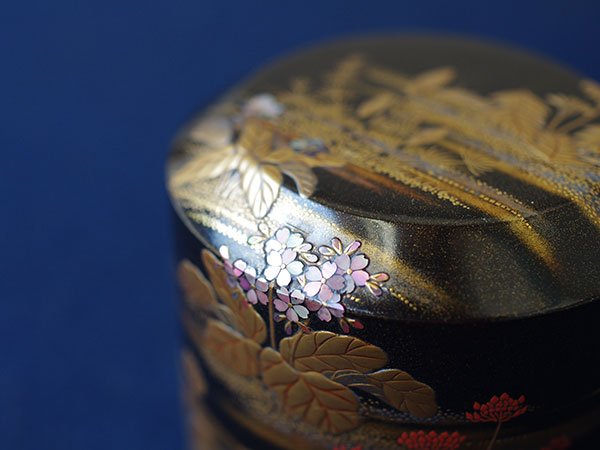 �t��@�P�a�^�t�쎪�G�ᐁ