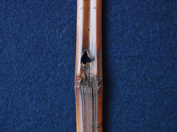 �C�c�@�ȍJ�^���ہw����x